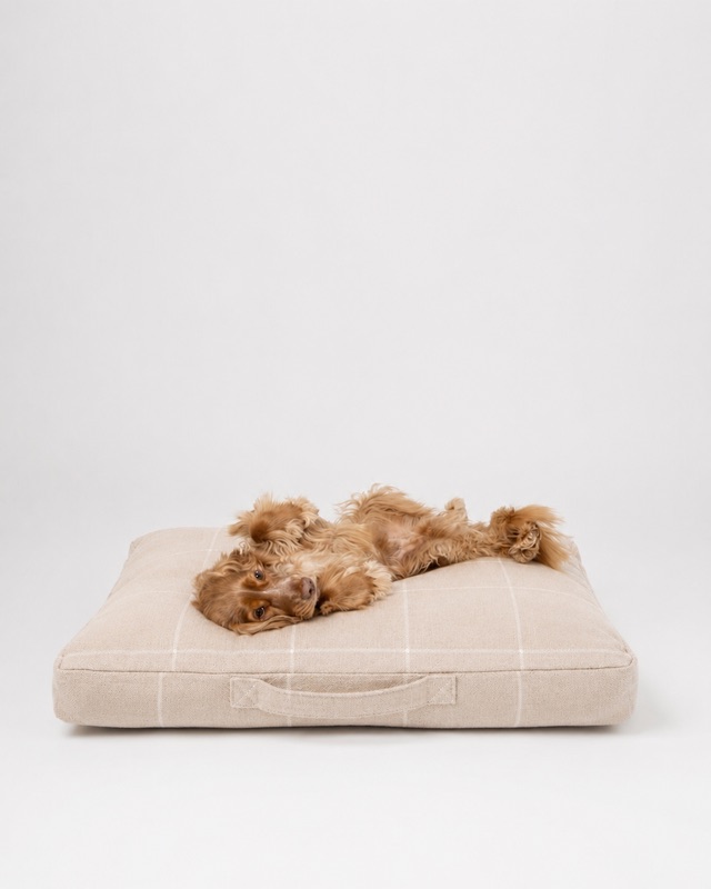 Long-haired dog rolling on a cream windowpane-check dog bed cushion.